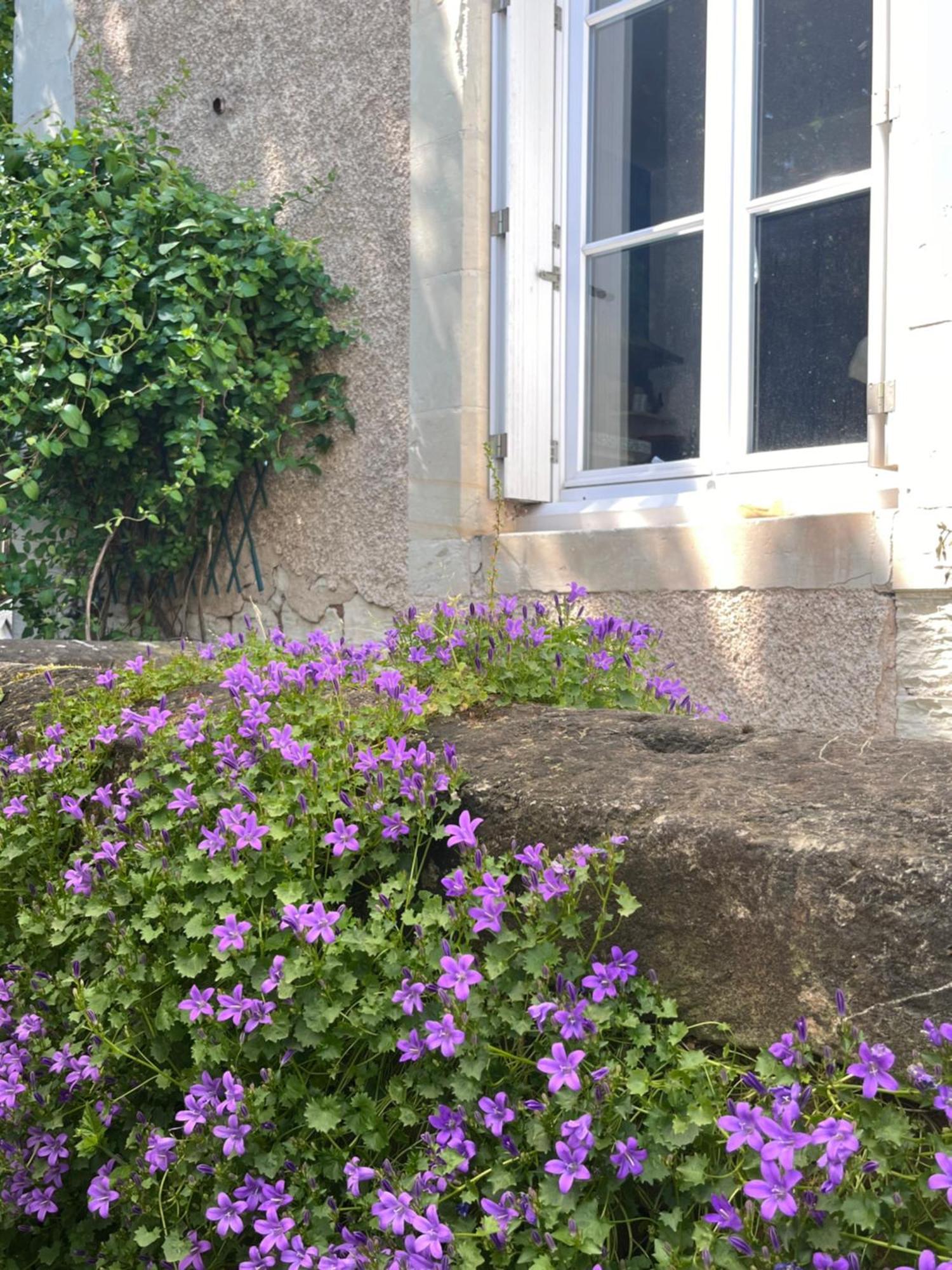 Le Clos Gabrielle Châtellerault Εξωτερικό φωτογραφία
